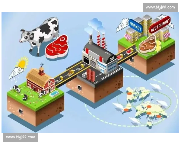 美国vs法国巅峰对决背后的实力博弈与未来走向解析全球格局影响