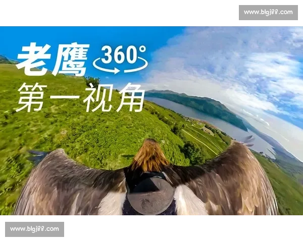 草原与天空的对决老鹰与狼谁才是真正王者生存智慧力量速度意志终极较量